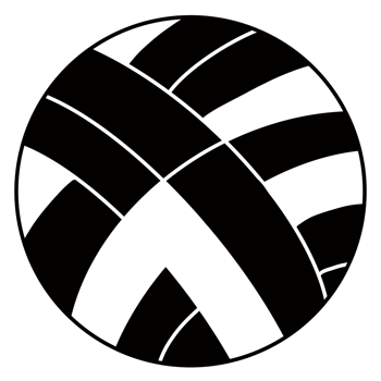 A volleyball . png
