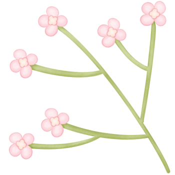 flowers in the branches isolated on transparent background png