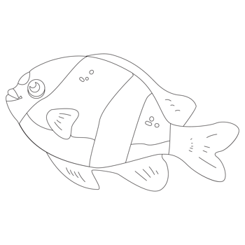 Blackwhite Fish 2D Outline Illustrations png