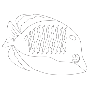 Bluecheek Fish 2D Outline Illustrations png