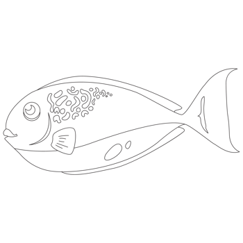 Bluehead Fish 2D Outline Illustrations png