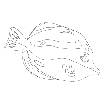Zebrasoma Fish 2D Outline Illustrations png