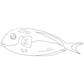 Materiaclima Fish 2D Outline Illustrations png