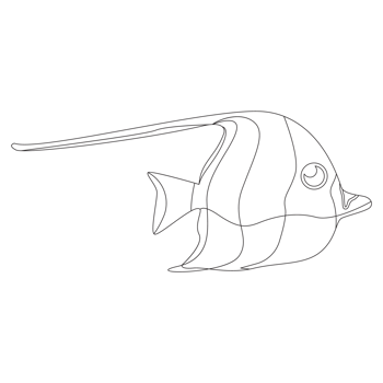 Buterfly Fish 2D Outline Illustrations png