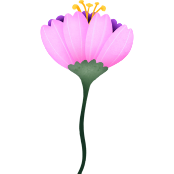 The purple flower blooming png