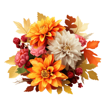 Autumn flowers bouquet isolated png