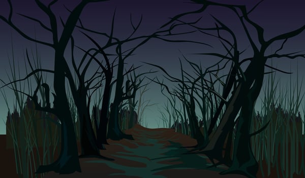 Spooky Forest Road vector
