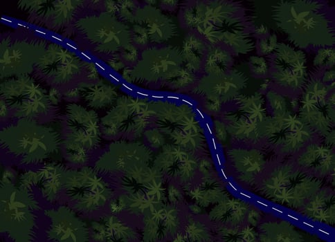Forest Road Top Shot vector