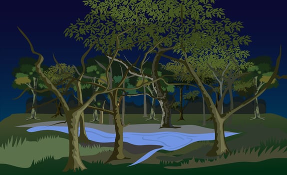 Spooky Pond In Forest vector