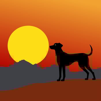 dog animal with mountain view and sun red background animation vector illustration
