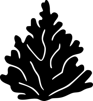 black coral icon png