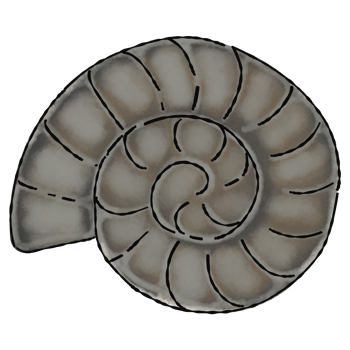 Ammonite fossil art cartoon png