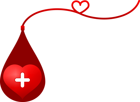red heart in blood donation transfusion png