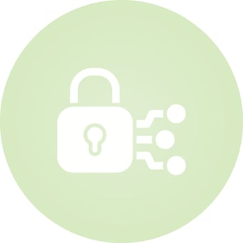 Network Security Vector Icon