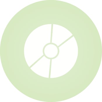 Disk Vector Icon
