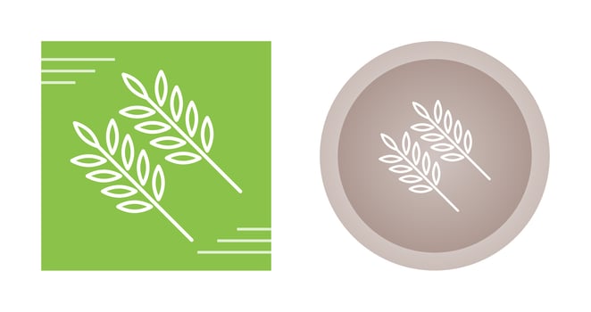Wheat Vector Icon