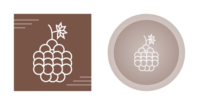 Grapes Vector Icon
