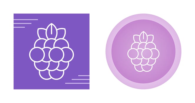 Raspberry Vector Icon