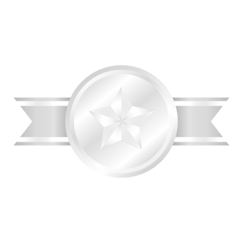silver medals. awards medal. champions medal. Champion winner award medal. silver trophy. png