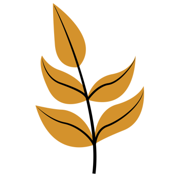 Single Autumn Leaf, Dry Leaves Illustration, Fall Leaves png
