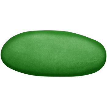 Green grass on the ground isolated on transparent background png