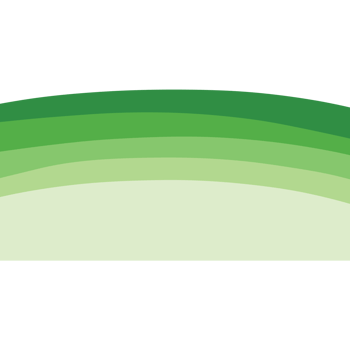 Green grass on the ground isolated on transparent background png