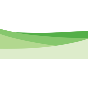 Green grass on the ground isolated on transparent background png