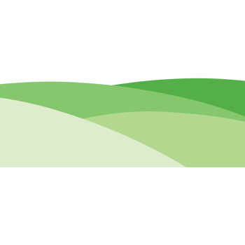 Green grass on the ground isolated on transparent background png