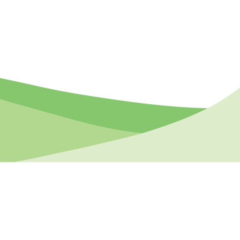 Green grass on the ground isolated on transparent background png