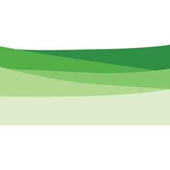 Green grass on the ground isolated on transparent background png
