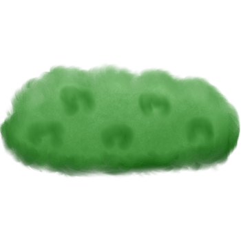 Green grass on the ground isolated on transparent background png