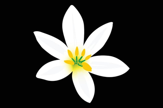 Realistic vector flower design .