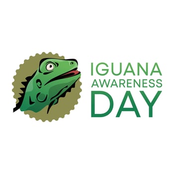 National Iguana Awareness Day design template good for greeting usage. iguana vector illustration. flat design. eps 10.