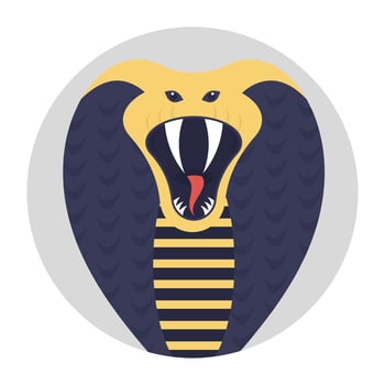King cobras are large snake, called the king cobra because they can kill and eat other cobras vector