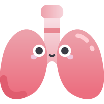 lungs illustration design png