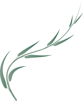 leaf foliage plant botanical for decorative abstract background png