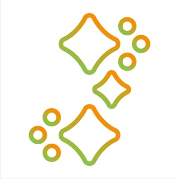 Sparkles Vector Icon