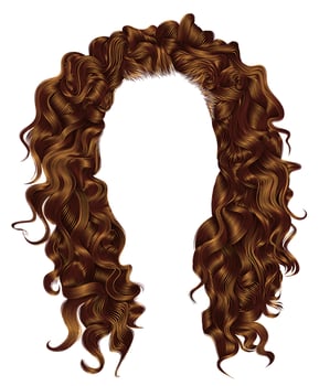 long curly hairs    ginger redhead  colors  .  beauty fashion style . wig . vector