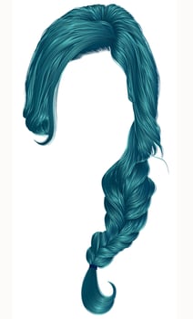 trendy women hairs blue colour . plait .  fashion beauty style . vector