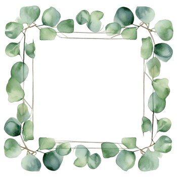 Watercolor eucalyptus leaves frame isolated png