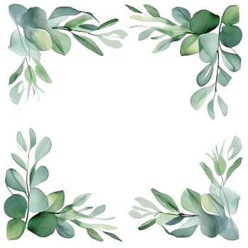 Watercolor eucalyptus leaves frame isolated png
