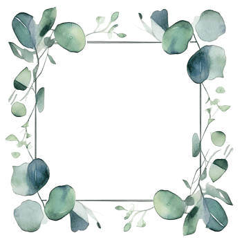 Watercolor eucalyptus leaves frame isolated png