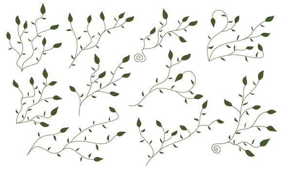 hand drawn leaf frame. silhouette branches with leaves. hand drawn of branch and leaf. hand drawn leaves. pink leaf decoration. vector