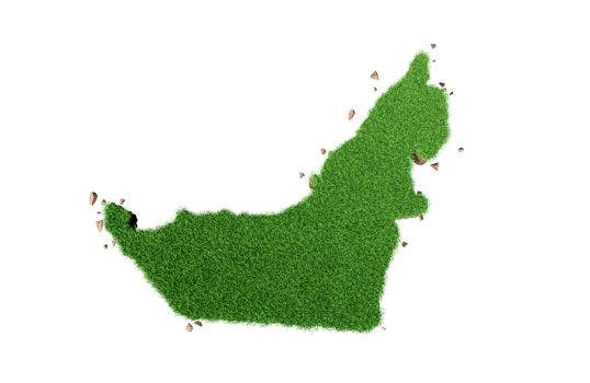 Dubai UAE Map Grass and ground texture 3d illustration png
