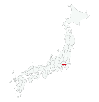 Tokyo city map in Japan png