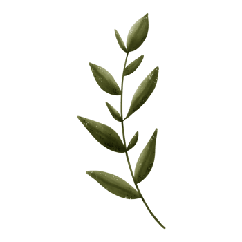 Set of green leaf drawings. Watercolor style. png