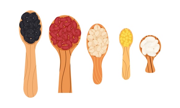 Set of wooden spoons of various sizes with different types of legumes on white background. vector