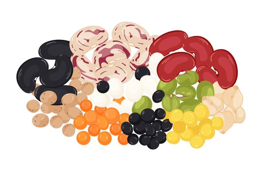 Heap of various leguminous grains on white background. Grains of beans, kidney beans, soybeans, lentils, chickpeas, mung vector