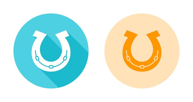 Horse Shoe Vector Icon