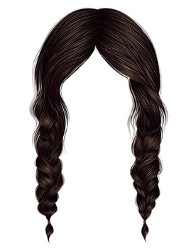 trendy women hairs brunette brown colour .two plaits .   fashion beauty style . vector